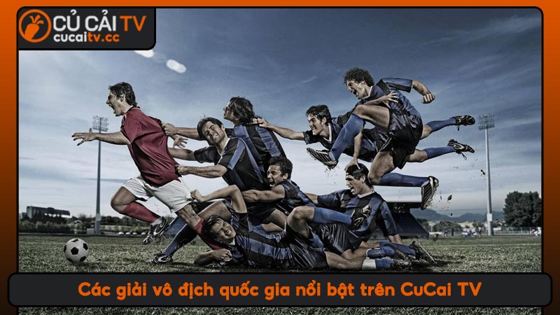 Các giải vô địch quốc gia nổi bật trên CuCai TV