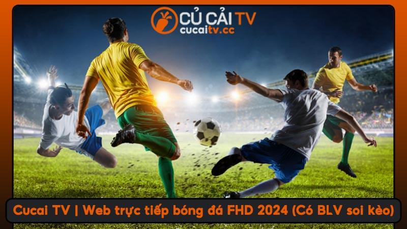 Cucai TV | Web trực tiếp bóng đá FHD 2024 (Có BLV soi kèo)