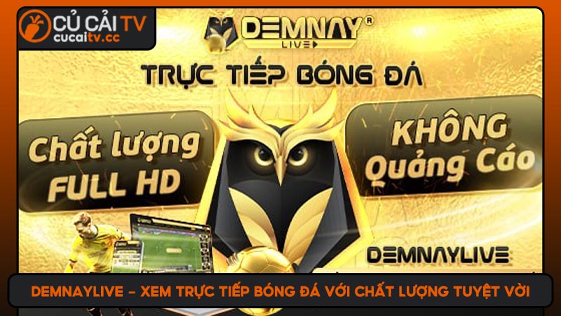 Demnaylive - Xem trực tiếp bóng đá với chất lượng tuyệt vời