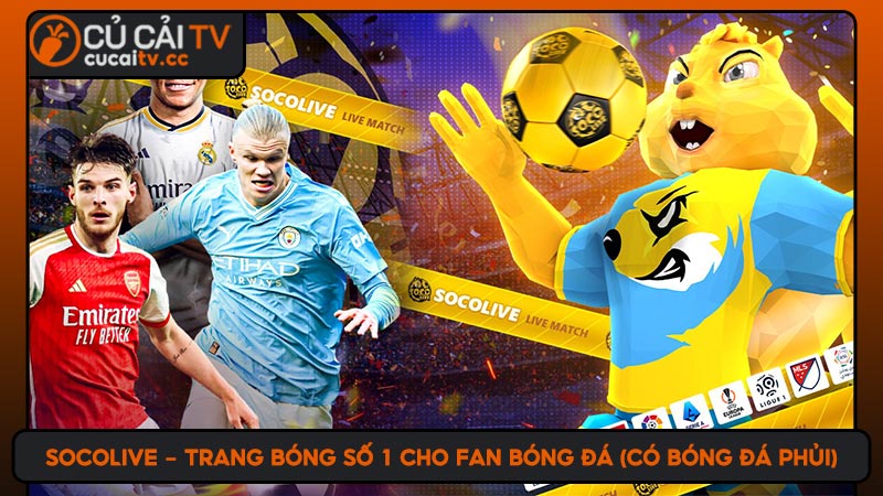 Socolive - Trang bóng số 1 cho Fan bóng đá (Có bóng đá phủi)