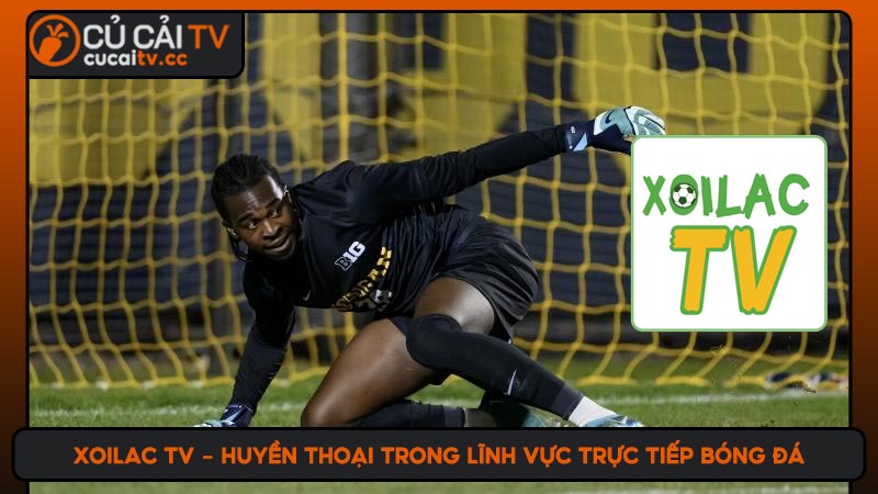 Xoilac TV - Huyền thoại trong lĩnh vực trực tiếp bóng đá