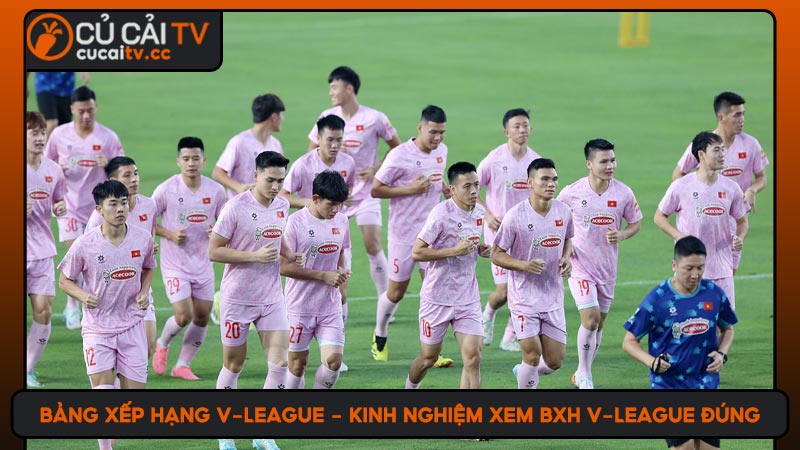 Bảng xếp hạng V-League - Kinh nghiệm xem BXH V-League đúng