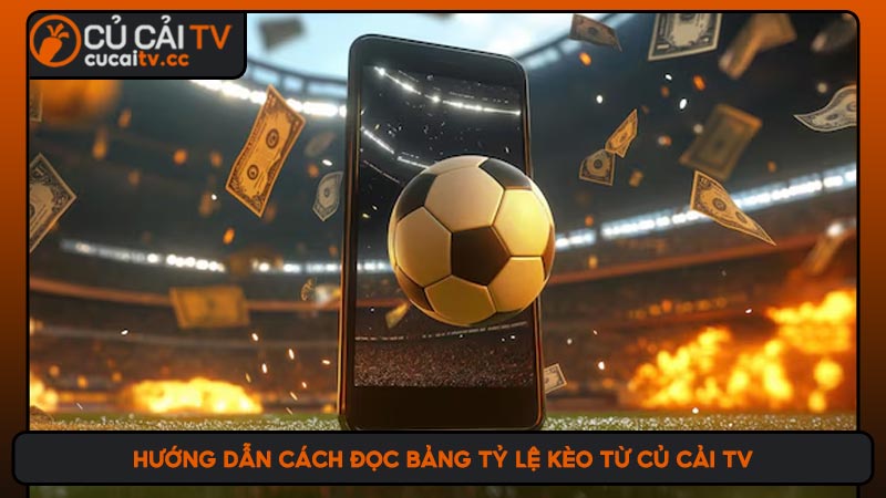 Hướng dẫn cách đọc bảng tỷ lệ kèo từ Củ Cải TV