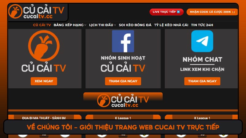 Về chúng tôi - Giới thiệu trang web CuCai TV trực tiếp