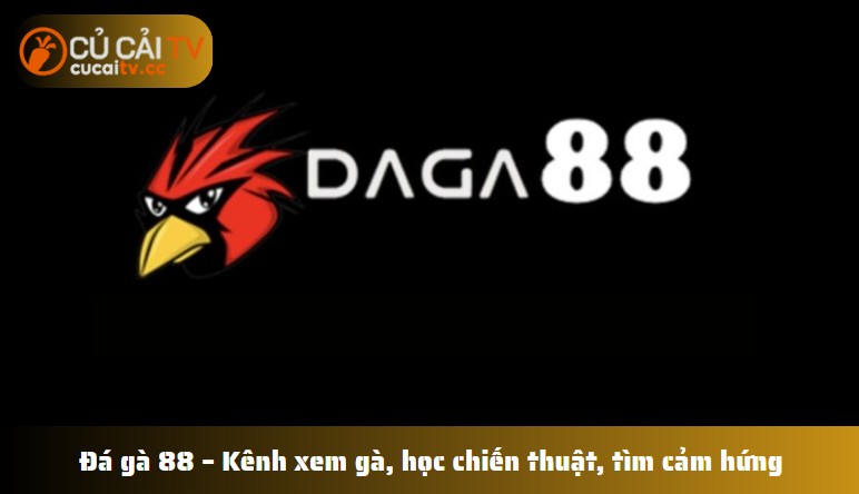 Đá gà 88 – Kênh xem gà, học chiến thuật, tìm cảm hứng