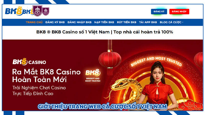 Những Trải Nghiệm Game Đỉnh Cao Tại Bk8